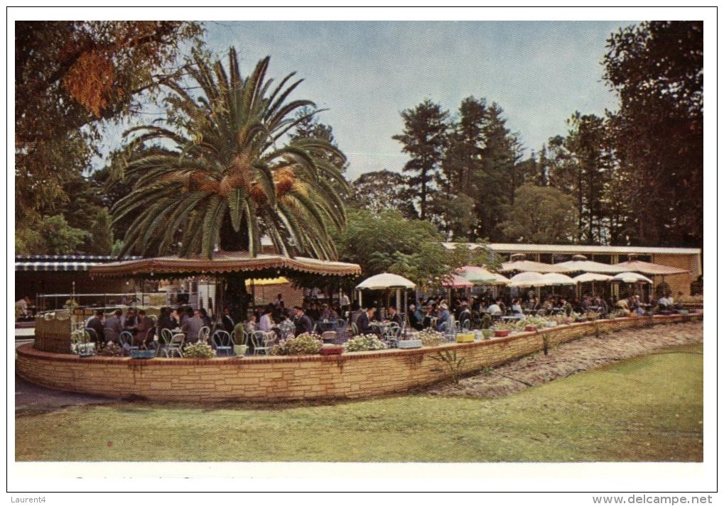 (562) Australia - WA - Perth King's Park Restaurant - Perth