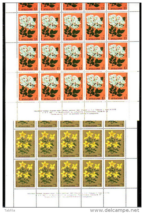 BULGARIA / BULGARIE - 1981 - Medicinals Plants - 6 Feuillets 4x5**MNH - Plantas Medicinales