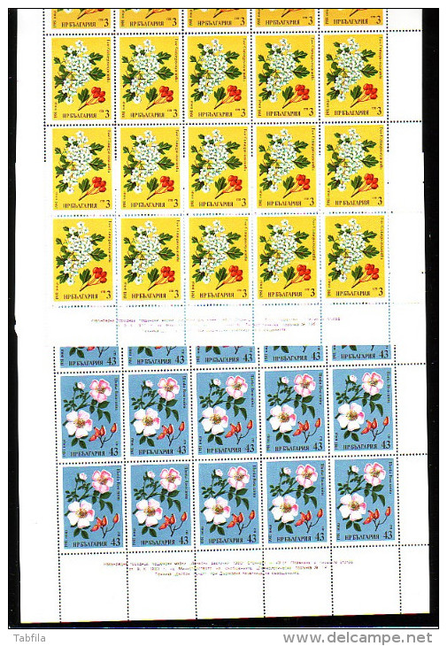 BULGARIA / BULGARIE - 1981 - Medicinals Plants - 6 Feuillets 4x5**MNH - Plantas Medicinales