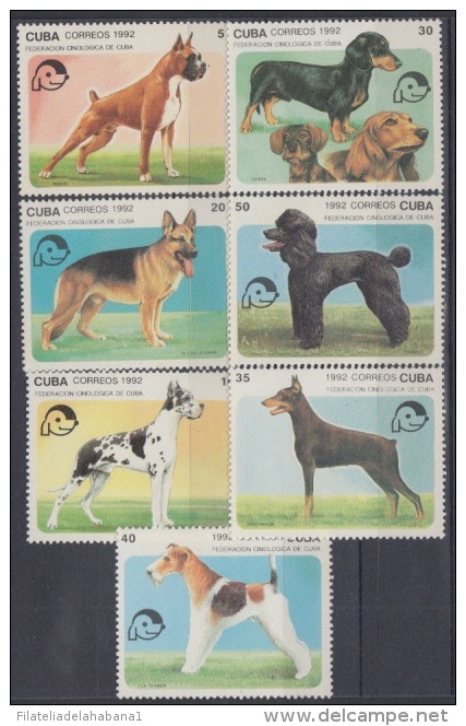 1992.16- * CUBA 1992. MNH. DOG. PERROS. DOBERMAN. FOX TERRIER. DALMATA. PASTOR ALEMAN. BOXER. TECKEL. - Unused Stamps