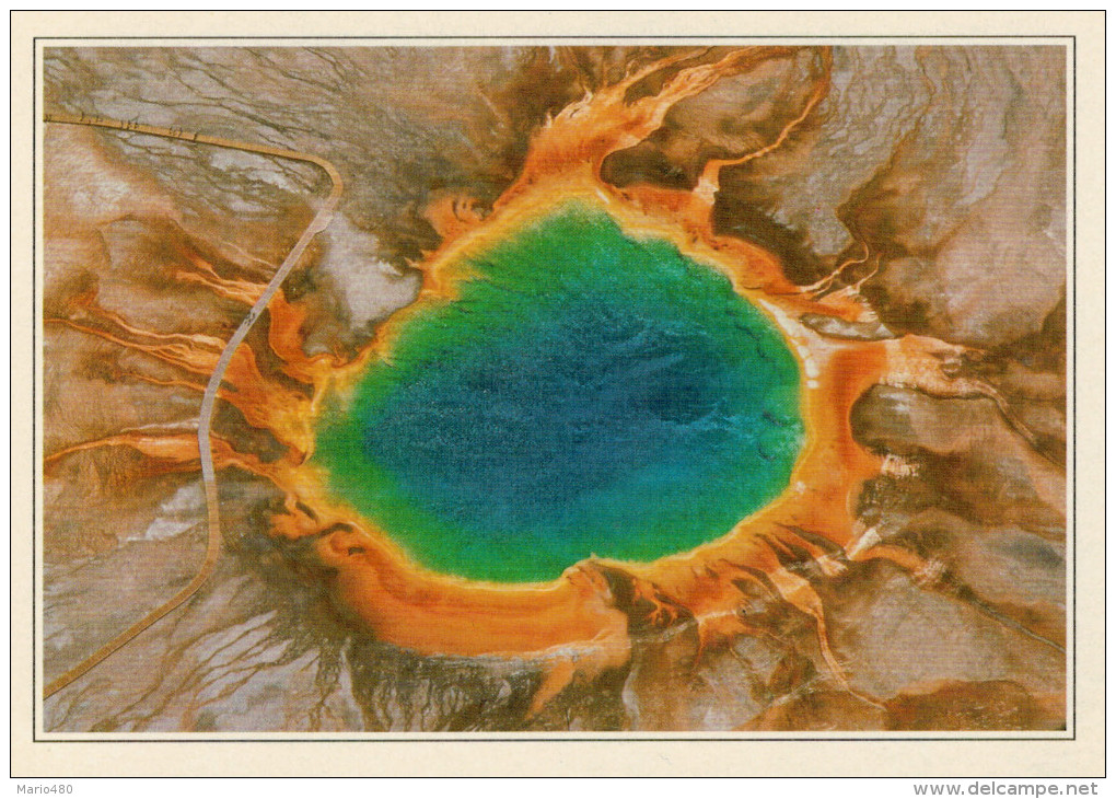 YELLOWSTONE   SORGENTI DI ACQUA CALDA        (NUOVA CON DESCRIZIONE DE POSTO SUL RETRO) - Yellowstone