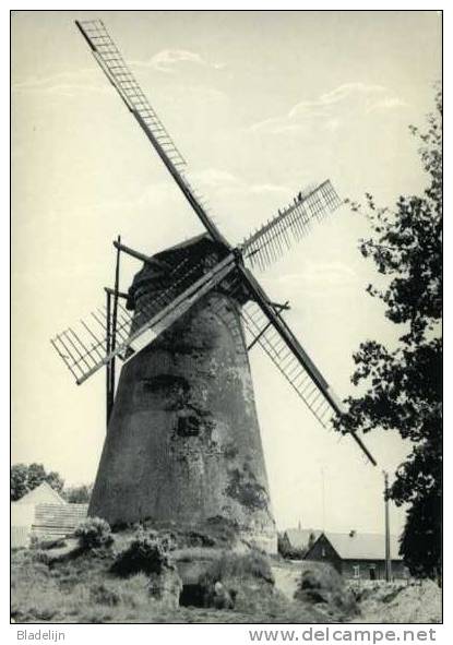 EKSEL (Limb.) - Molen/moulin/mill - Close-up Van De Verdwenen Sint-Antoniusmolen In Verval (gesloopt: 1981) - Hechtel-Eksel