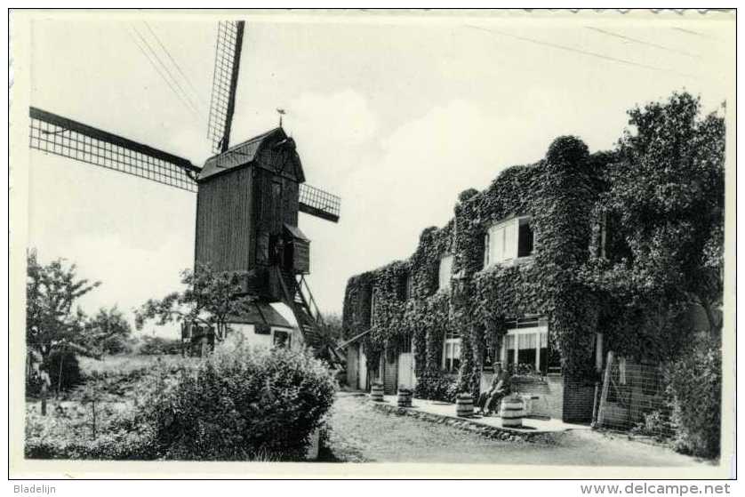 BEVEREN Aan De IJZER Bij Alveringem (W.Vl.) - Molen/moulin - De Verdwenen Hoge Seinemolen, Later Verplaatst Naar Brugge - Alveringem