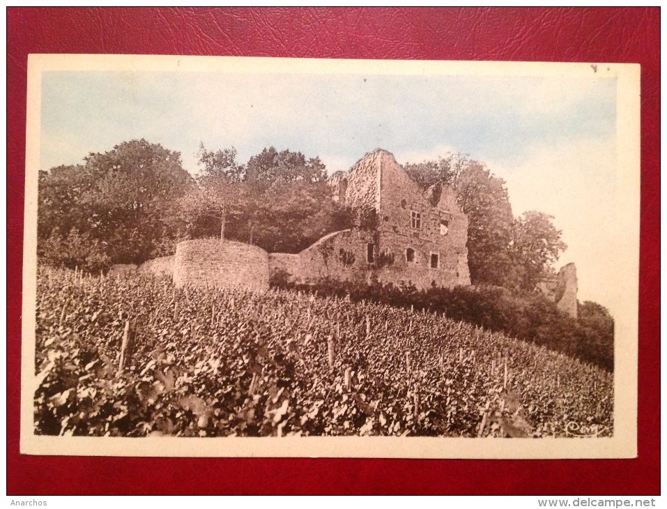 39 Jura ARLAY Ruines Du Chateau Féodal Des Princes De Chalon (près BLETTERANS) - Autres & Non Classés