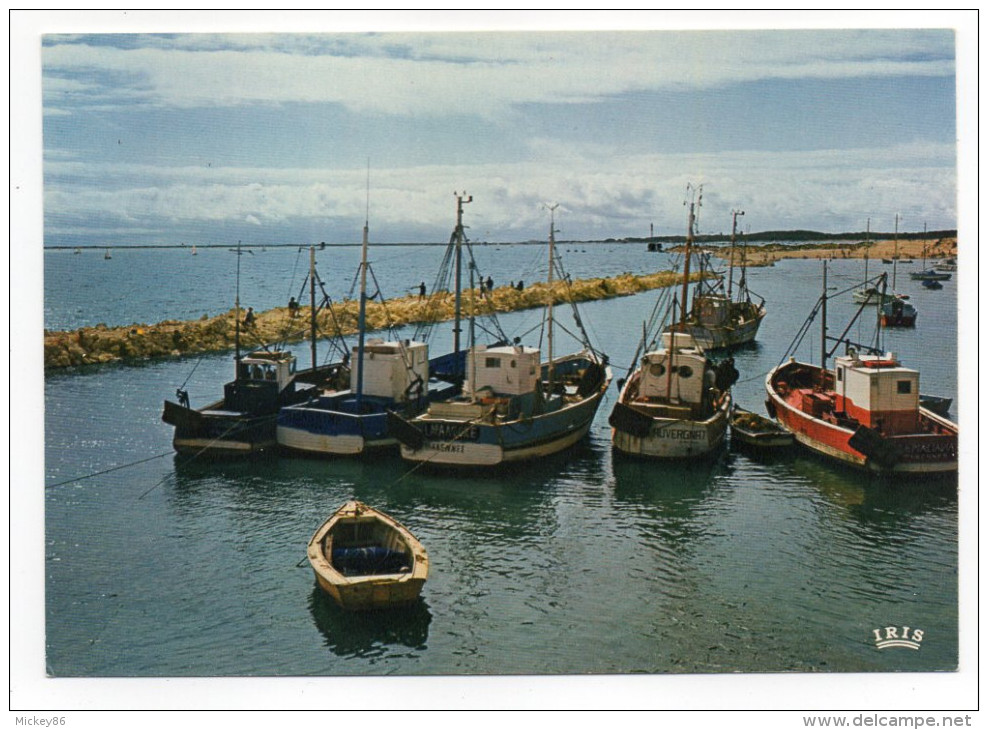 LES MATHES--LA PALMYRE--Le Port (beaux Bateaux De Pêche) Cpm  éd  CAP Théojac--pas Très Courante - Les Mathes