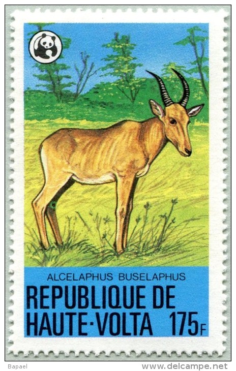 N° Michel 764 (YT 492) - Timbre De Haute-Volta (Burkina-Fasso) - WWF - (MNH) - (1979) - Alcelaphus Buselaphus (JS) - Haute-Volta (1958-1984)