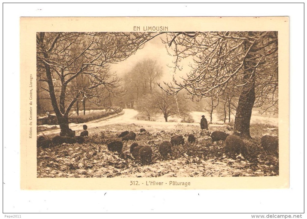 CPA : 87 - LIMOUSIN : L'Hiver - Pâturage :  Berger - Moutons Sous La Neige - Route Enneigée - Peu Commune - Elevage