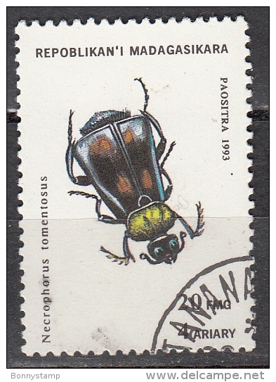 Madagascar, 1994 - 20fr Necrophorus Tomentosus - Nr.1216 Usato° - Altri & Non Classificati