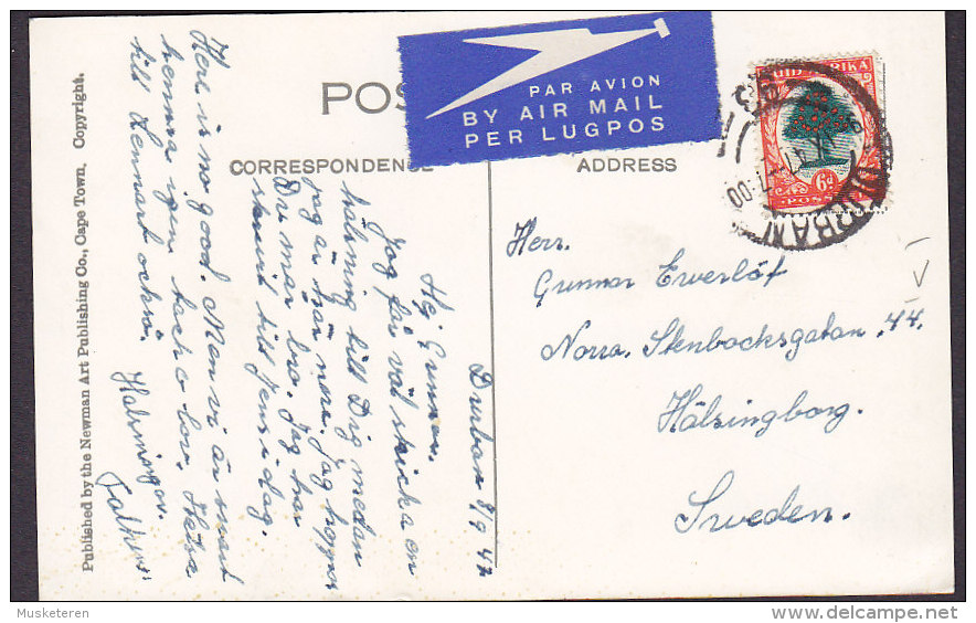 South Africa PPC Cableway Lions Head Cape Town Airmail Lugpos Par Avion Label DURBAN 1947 Tree Stamp (2 Scans) - Posta Aerea