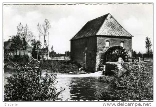 RETIE (Antw.) - Molen/moulin - Oudere Prentkaart Van De Nog Bestaande Watermolen Op De Witte Nete - Retie