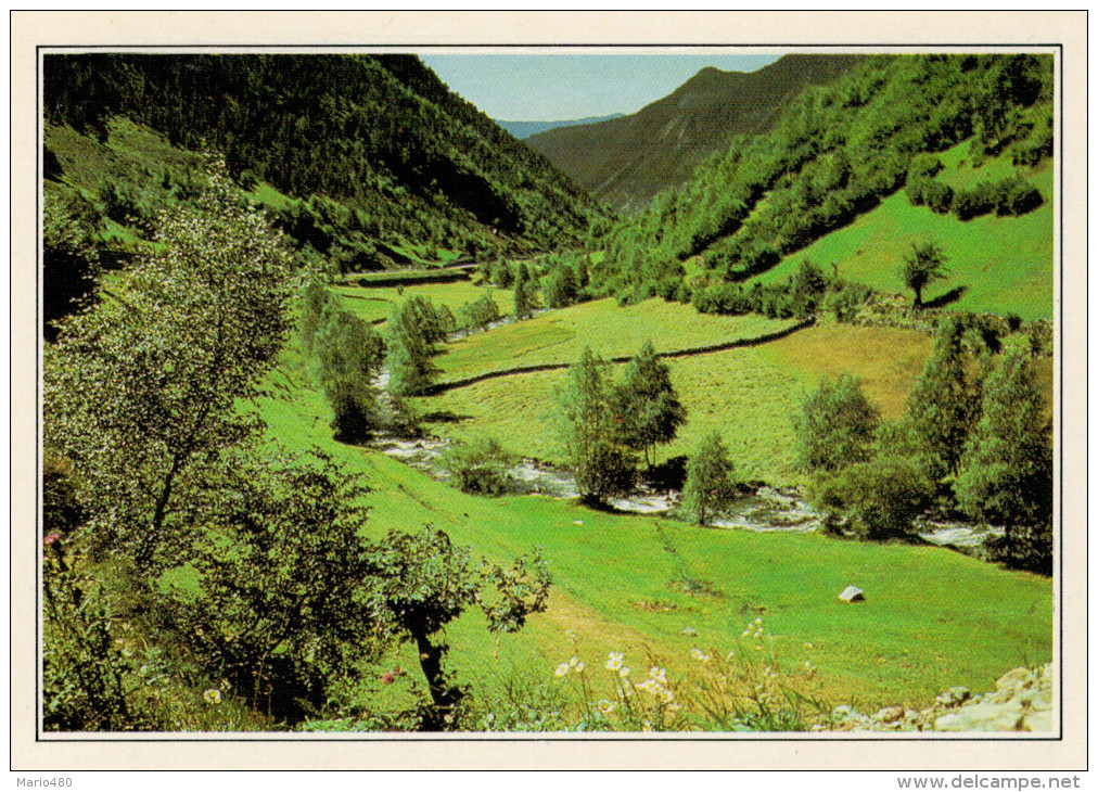 VALLS  D' ANDORRA    PAESAGGIO  DEL  NORD     (NUOVA Con Descrizione Del Luogo Sul Retro) - Andorra