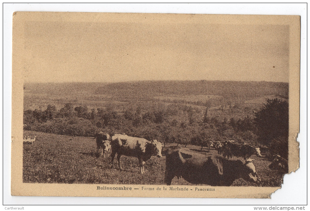 BELLENCOMBRE - Ferme De La Marlande - Panorama - Bellencombre