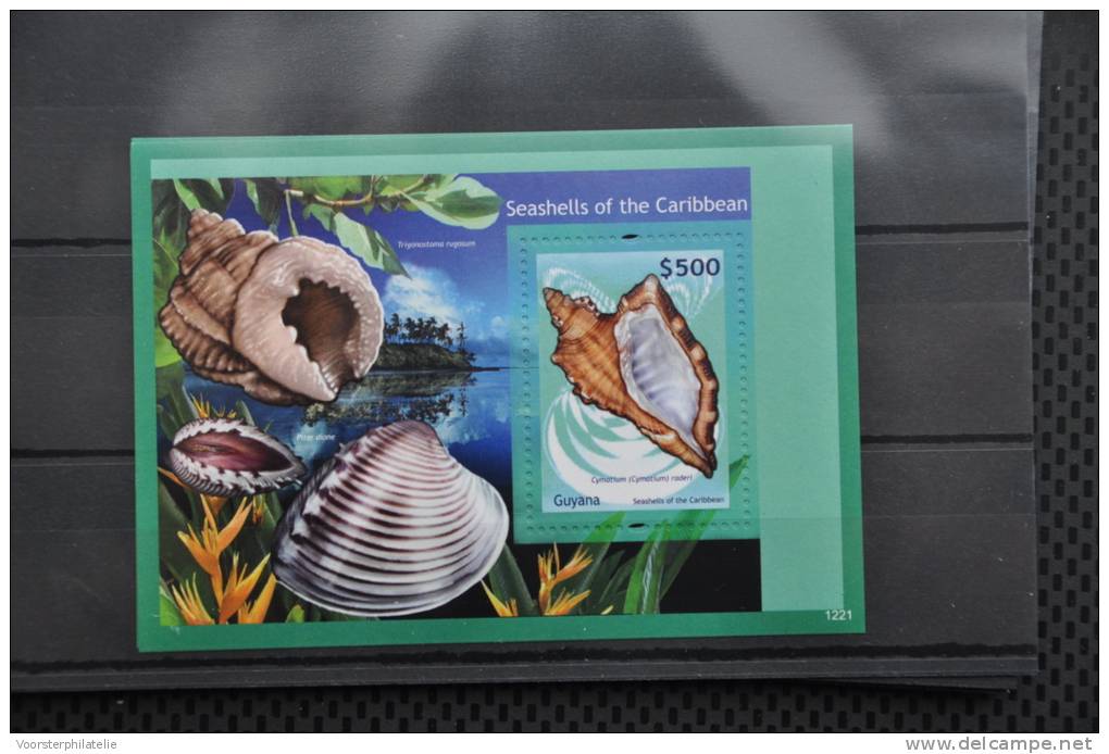 H 102 ++  2012 GUYANA SCHELPEN SHELLS MUSCHEL ++ MNH POSTFRIS ** - Guyana (1966-...)