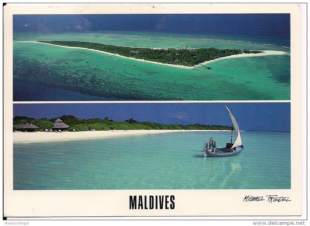 MALDIVES  Fg  Fish Nice Stamp - Maldiven