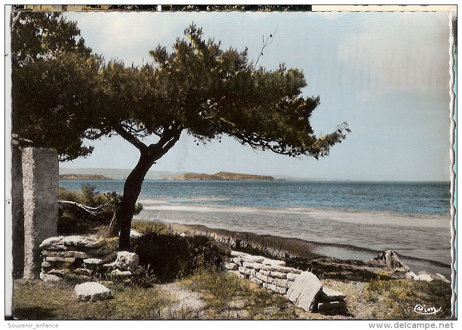 CP Sigean L'Etang De  L'Angle Lieu Dit 11 Aude - Sigean