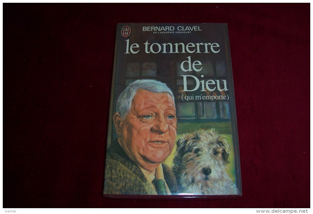 VENTE D´UNE COLLECTION DE LIVRE DE POCHE AU CINEMA ° TONNERE DE DIEU - Cinema/ Televisione