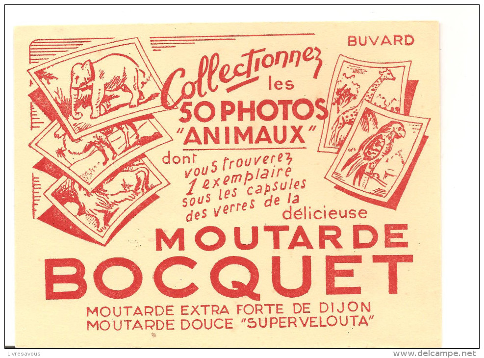 Buvard BOCQUET Moutarde BOCQUET Collectionnez Les 50 Photos D'animaux - Senape