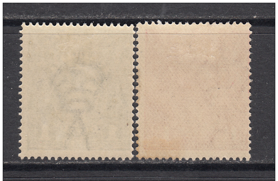 1918 - 1920   YVERT  Nº   36 , 37    / * / - Neufs