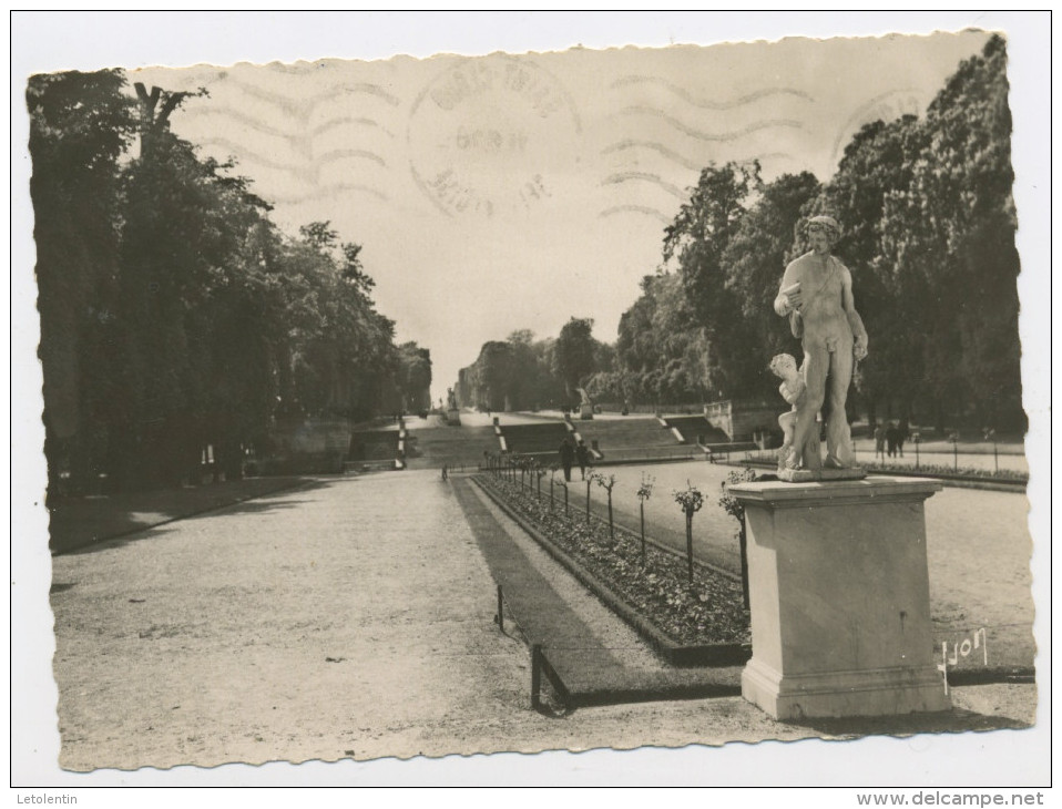 CPM: 92 - SAINT CLOUD  -  LE PARC , L'ALLÉE DES MARNES - Saint Cloud