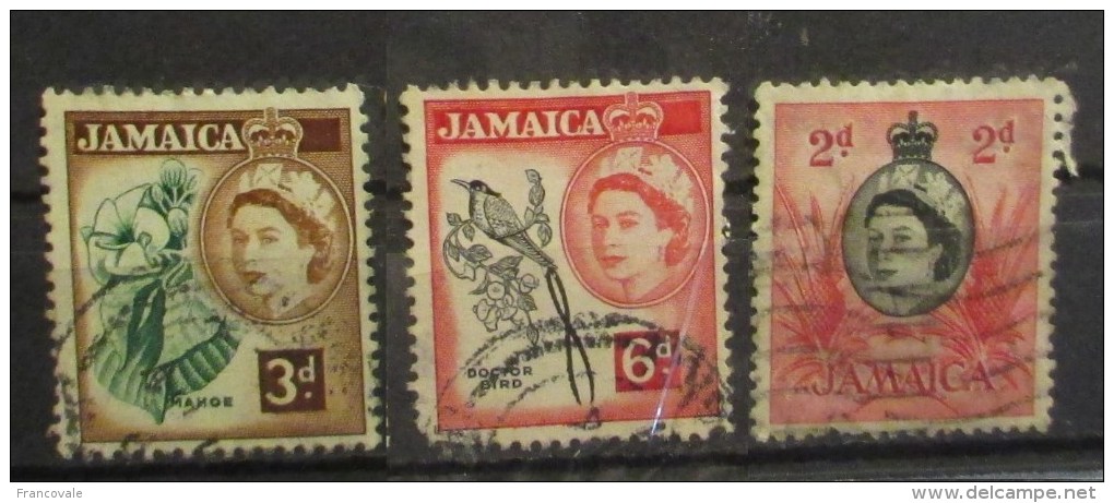 Giamaica 1956 Queen Elizabeth Mahoe Doctor Bird 2d - Jamaica (...-1961)