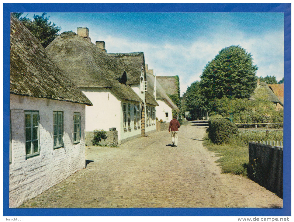 Deutschland; Föhr Nieblum; Ferienhäuser - Föhr