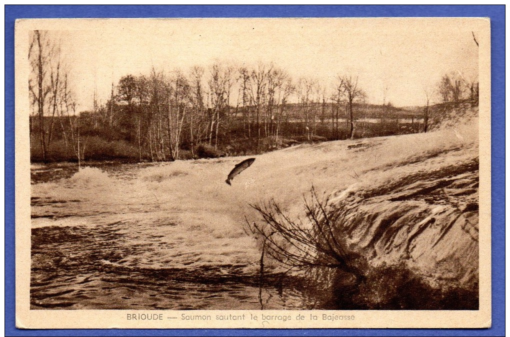 43. Brioude. Saumon Sautant Le Barrage De La Bajeasse - Brioude