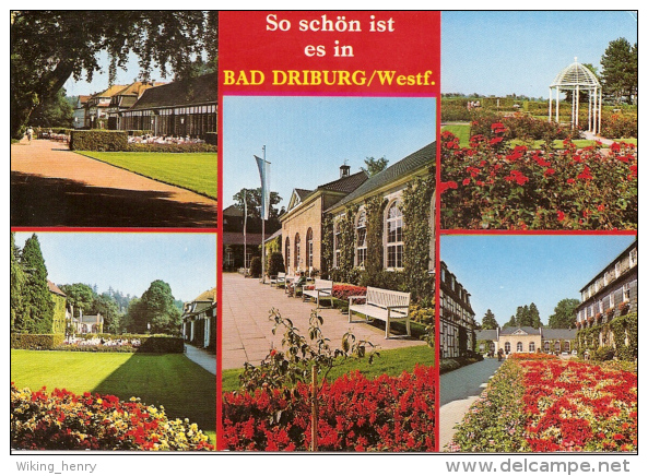 Bad Driburg - Mehrbildkarte 10 - Bad Driburg