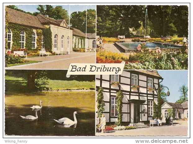 Bad Driburg - Mehrbildkarte 4 - Bad Driburg