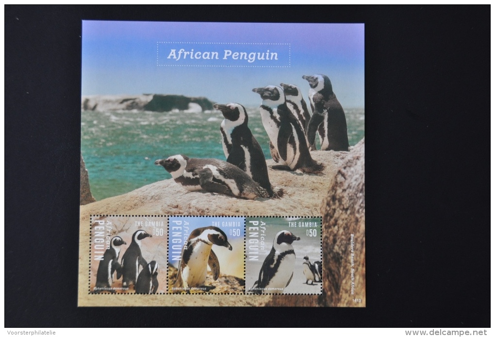 M1 101 ++ GAMBIA 2014 VOGELS BIRDS OISEAUX PENGUIN PINGUIN MNH ** - Gambia (1965-...)