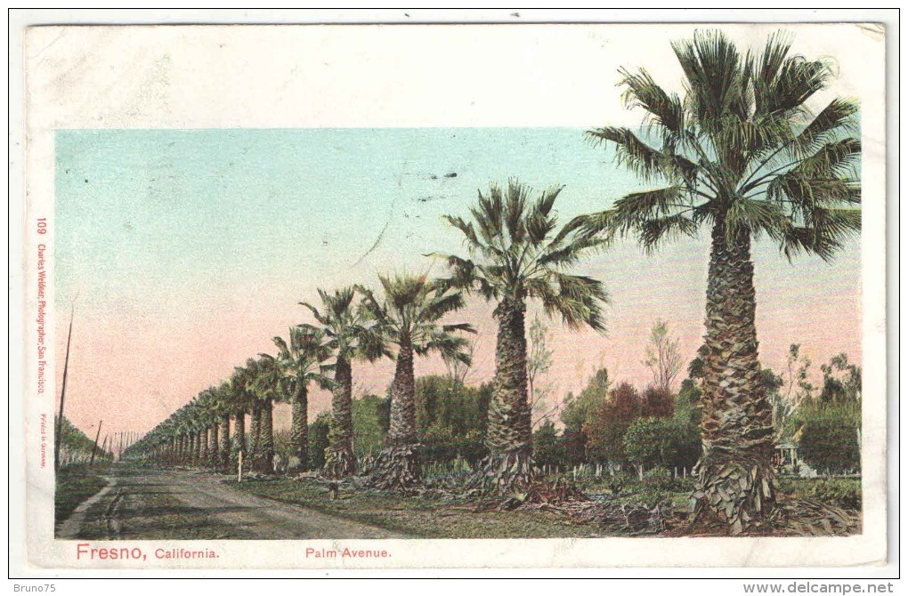 Palm Avenue, Fresno, California - 1908 - Fresno