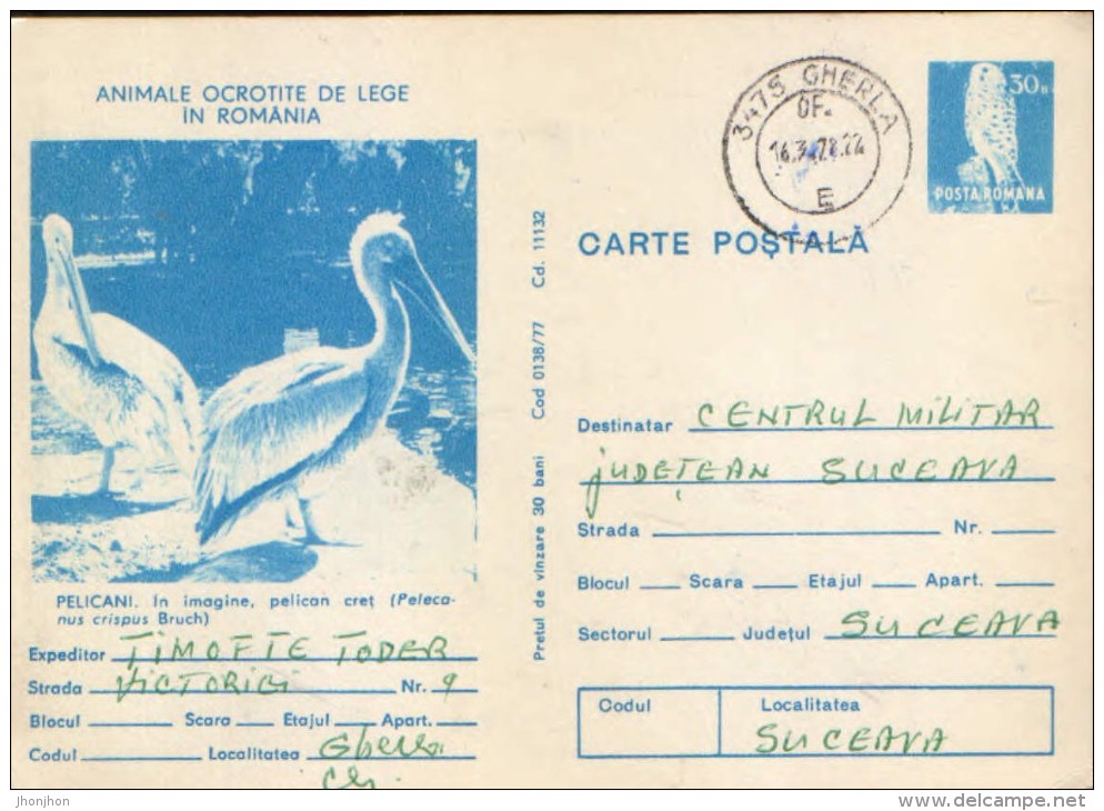 Romania - Postal Stationery Postcard 1977 Used -   Birds - Pelicans - Pelikanen