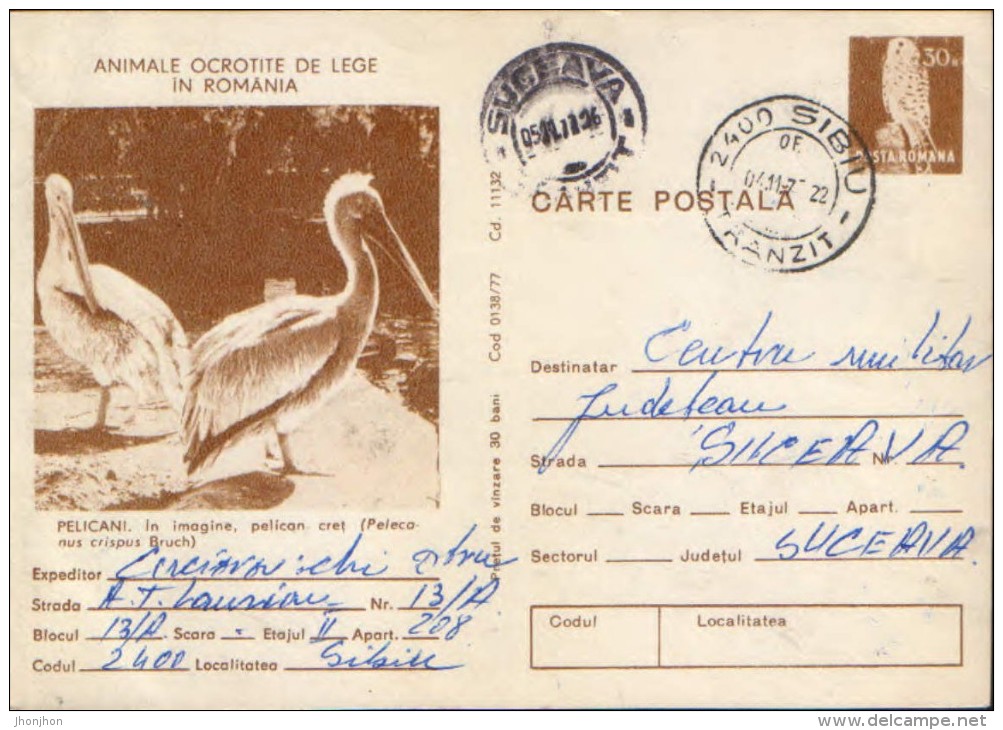 Romania - Postal Stationery Postcard 1977 Used -   Birds - Pelicans - Pélicans