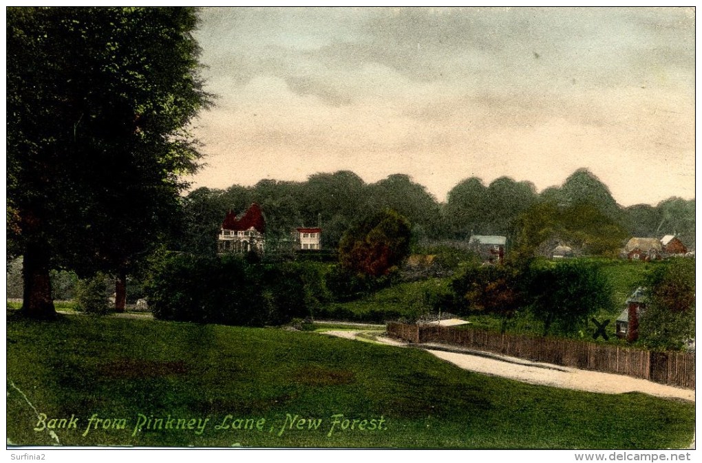 HANTS -  BANK FROM PINKNEY LANE 1911 Ha56 - Other & Unclassified