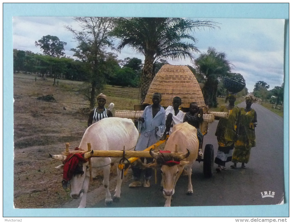 SENEGAL - Rencontre Sur Le Route, Char à Boeufs - Senegal