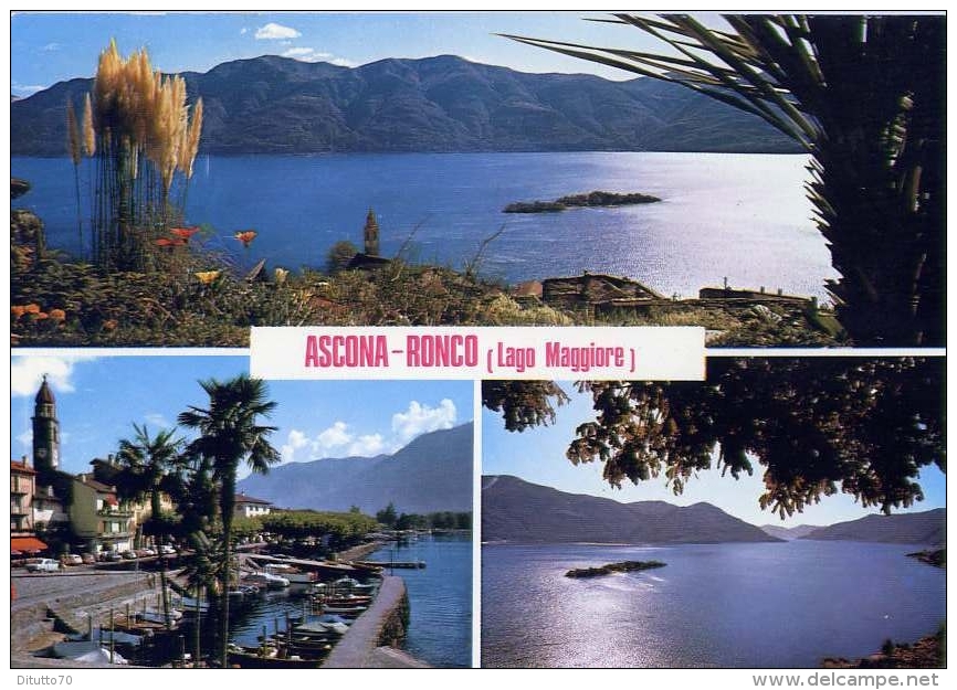 Ascona - Ronco - Lago Maggiore - 2541-5234 - Formato Grande Viaggiata Mancante Di Affrancatura - Ronco Sopra Ascona