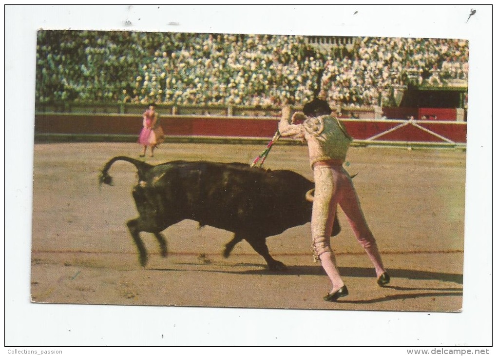 Cp , Corrida , CORRIDA DE TOROS , Un Par De Banderillas , Une Paire De Banderilles , Voyagée 1960 , Ed : Fotocolor 4 - Corridas