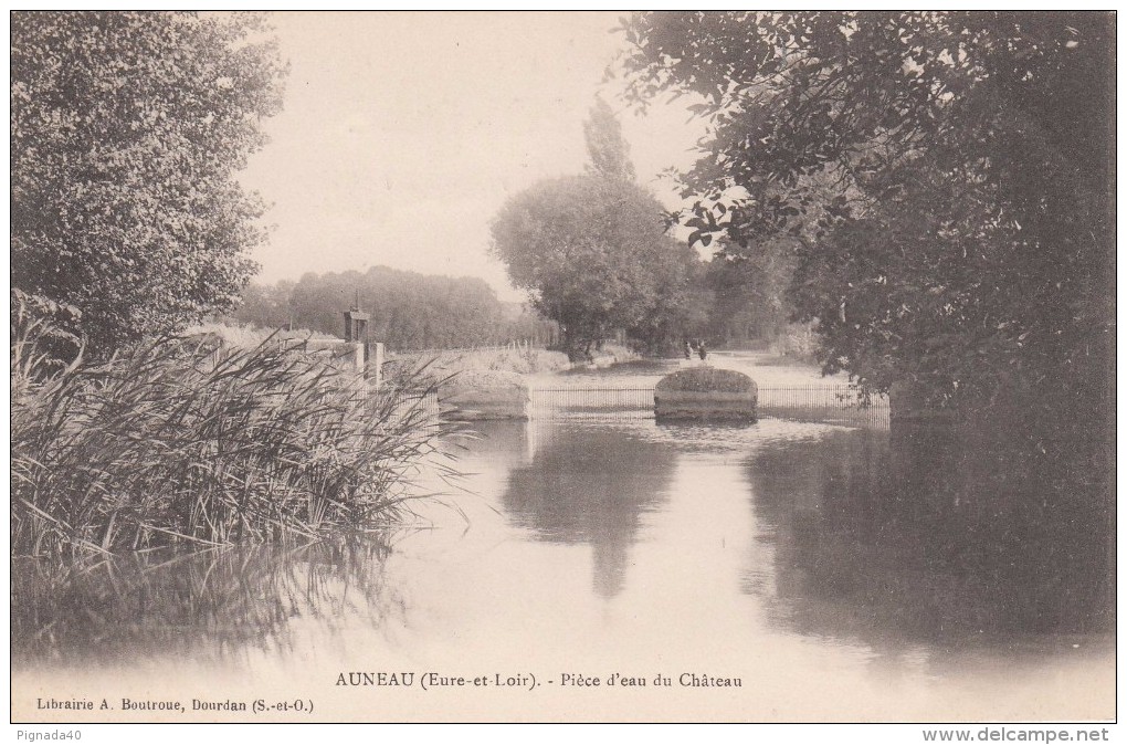 Cp , 28 , AUNEAU , Pièce D'eau Du Château - Auneau