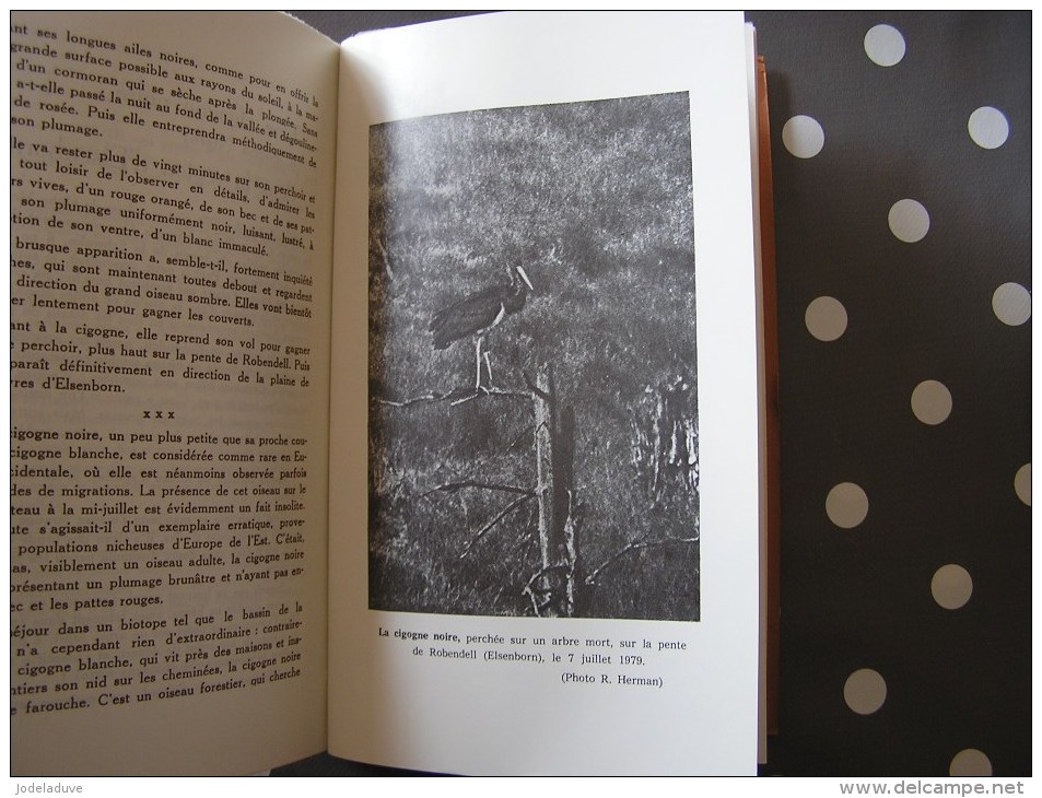 HAUTES FAGNES N° 3 / 1979 Régionalisme Belgique Nature Fagne Ardenne Le Boqueteau Cigogne Noire Elsenborn Forêt - Belgique