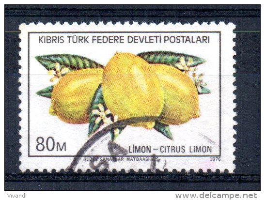 Cyprus (Turkish) - 1976 - 80m Export Products/Lemons - Used - Used Stamps