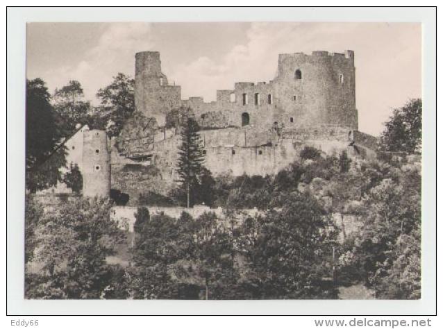 Frauenstein-Burgruine - Frauenstein (Erzgeb.)