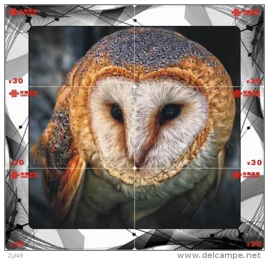O03214 China Phone Cards Owl Puzzle 60pcs - Owls