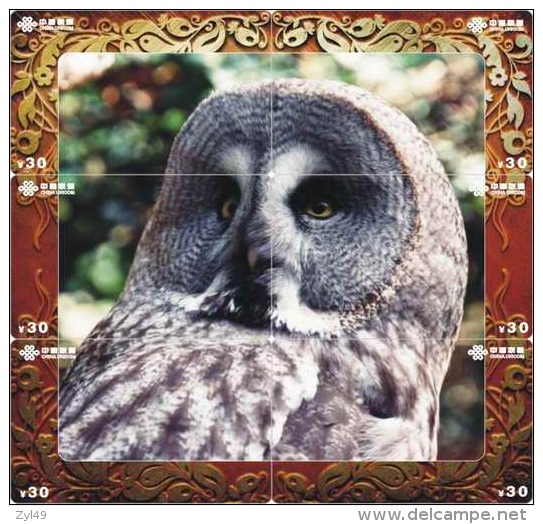 O03214 China Phone Cards Owl Puzzle 60pcs - Owls