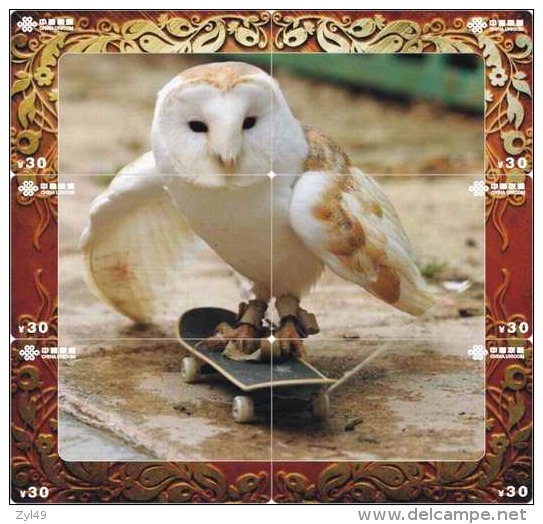 O03214 China Phone Cards Owl Puzzle 60pcs - Owls