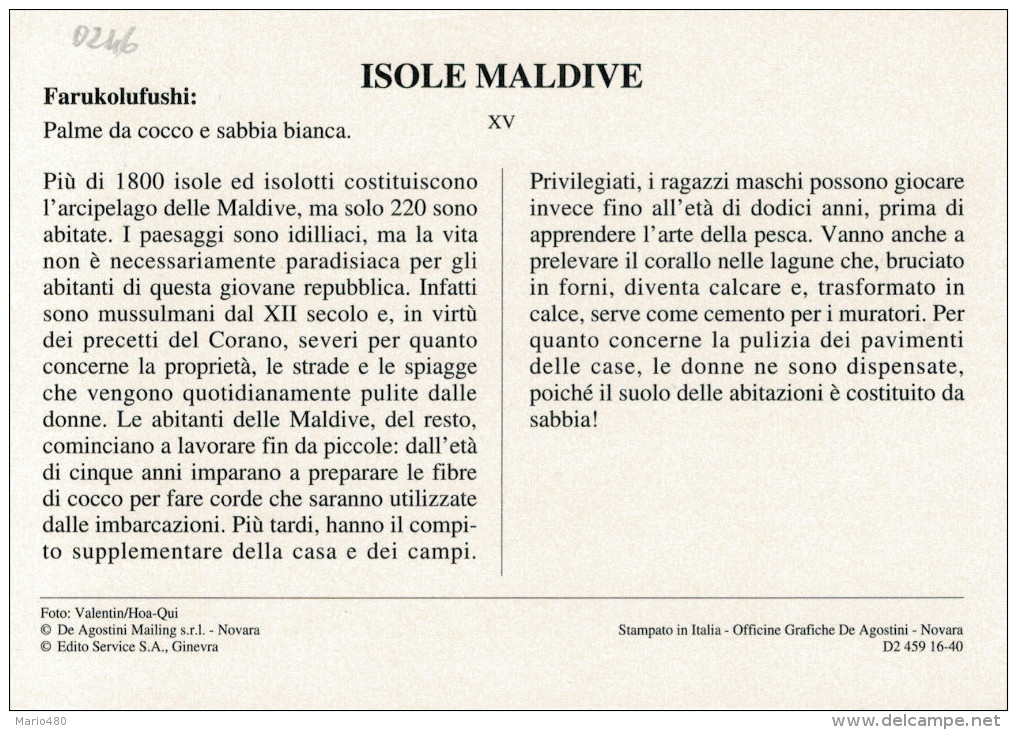 MALDIVE  FARUKOLUFUSHI:  PALME DI COCCO E SABBIA BIANCA      (NUOVA CON DESCRIZIONE DEL SITO) - Maldive