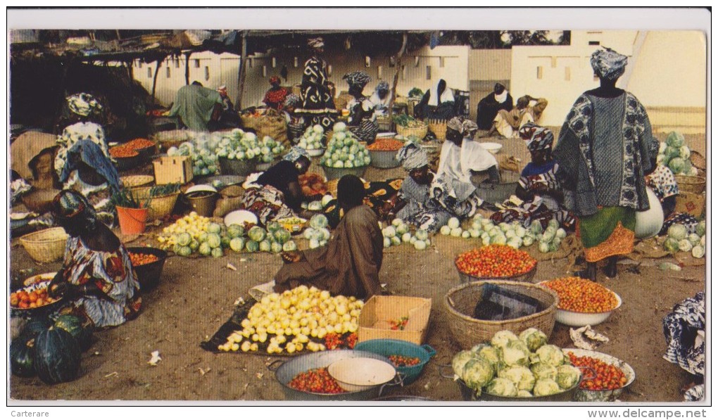 AFRIQUE,AFRICA,CAMEROUN,C AMEROON,ex Colonie Allemande Et Française,Marché Aux Choux,tomate,metier,survi Vre - Camerun