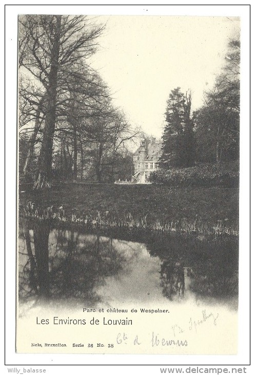 CPA - WESPELAER - WESPELAAR - Environs De Louvain - Parc Et Château - Kasteel  // - Haacht