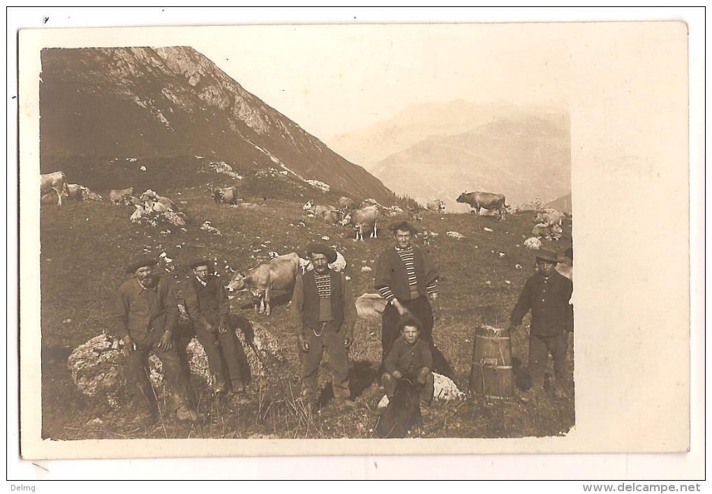 Carte Photo 73 Ou 74 Bergers Dans La Montagne Vaches - Otros & Sin Clasificación