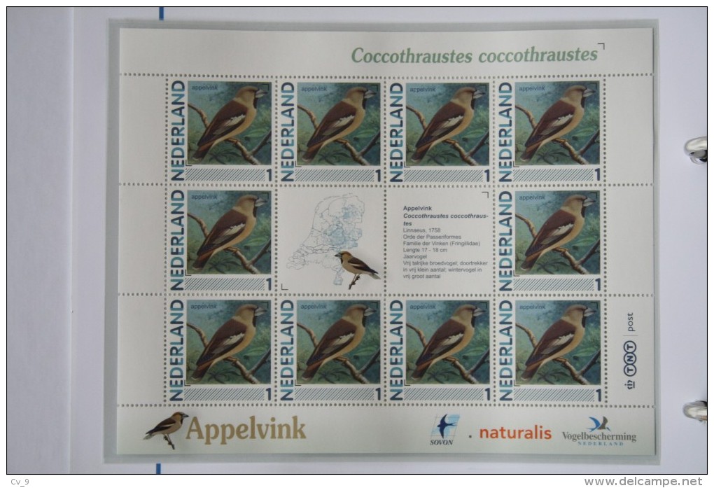 Persoonlijk Zegel Thema Birds Vogels Oiseaux Pájaro Sheet APPELVINK Hawfinch 2011-2014 Nederland - Neufs