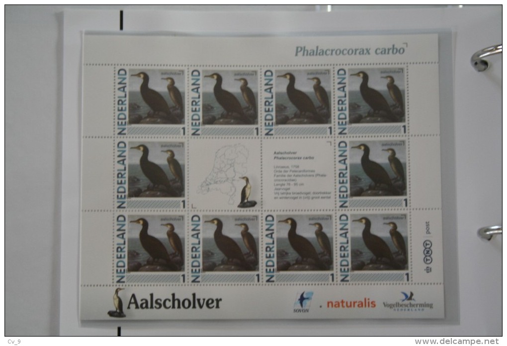 Persoonlijk Zegel Thema Birds Vogels Oiseaux Pájaro Sheet AALSCHOLVER Cormorant 2011-2014 Nederland - Neufs