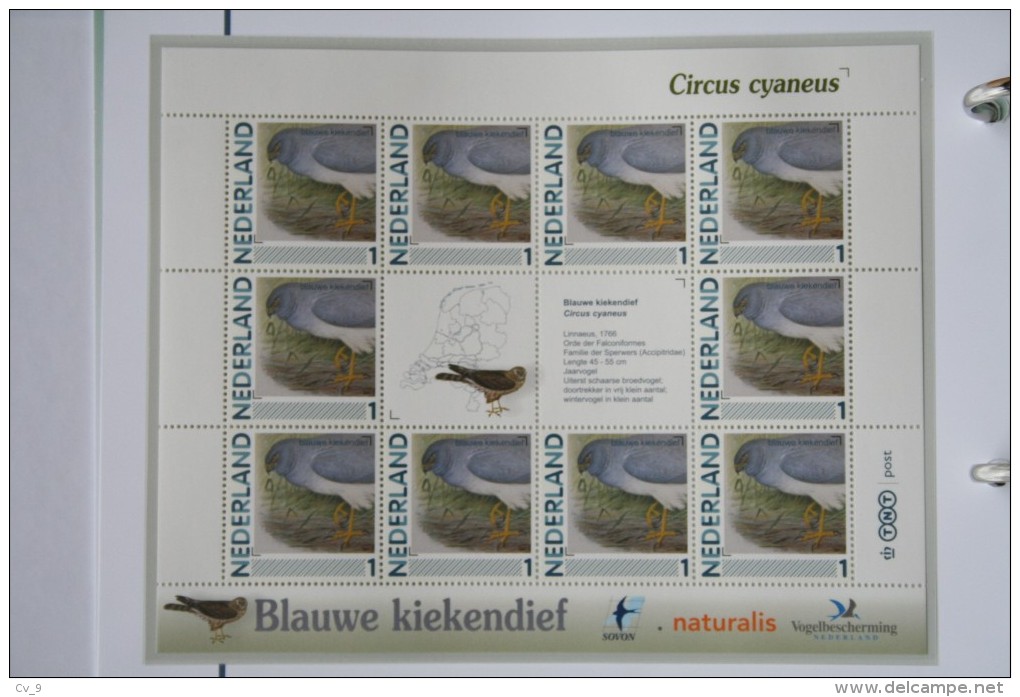 Persoonlijk Zegel Thema Birds Vogels Oiseaux Pájaro Sheet BLAUWE KIEKENDIEF  BLUE HARRIER 2011-2014 Nederland - Unused Stamps